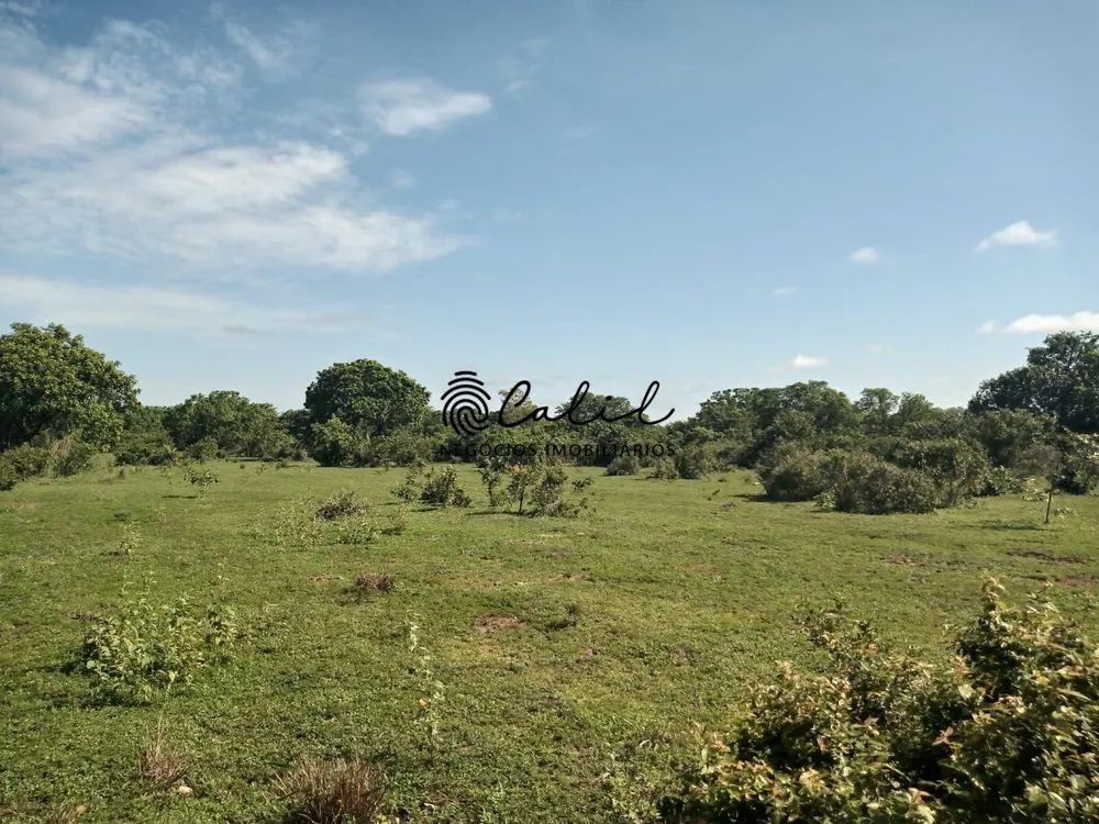 Fazenda, 312 hectares - Foto 6