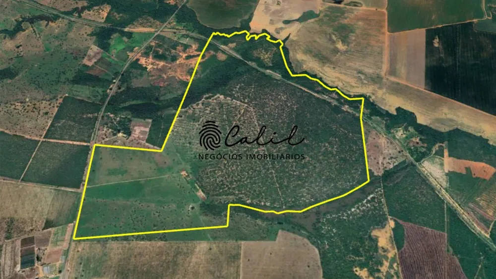 Fazenda, 312 hectares - Foto 15