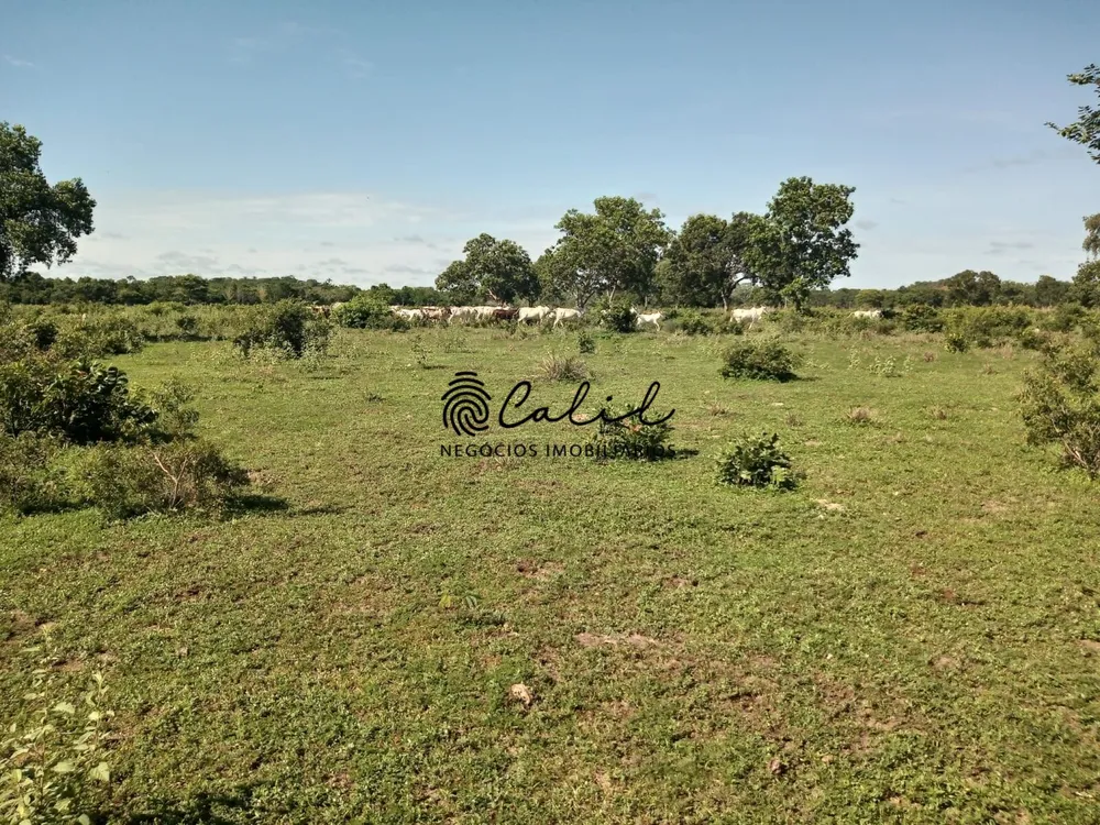 Fazenda, 312 hectares - Foto 1