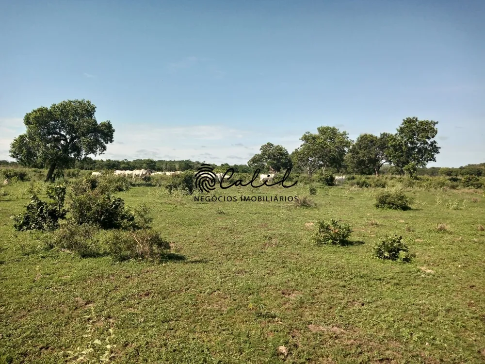 Fazenda, 312 hectares - Foto 9