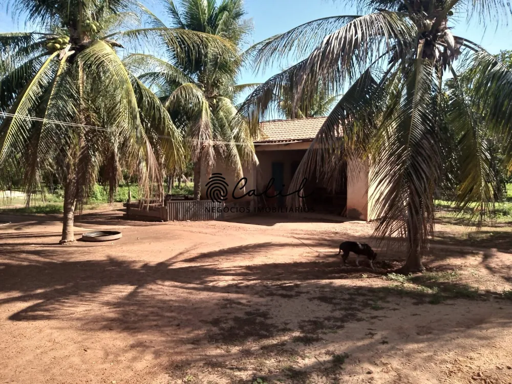 Fazenda, 312 hectares - Foto 8