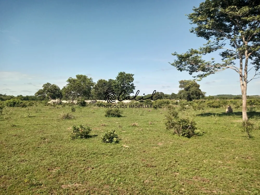 Fazenda, 312 hectares - Foto 12