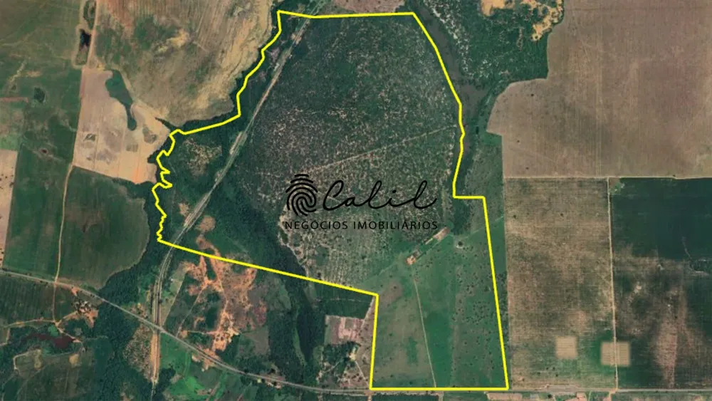 Fazenda, 312 hectares - Foto 11