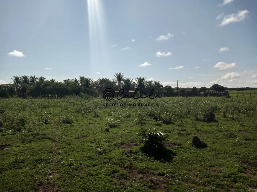 Fazenda, 312 hectares - Foto 7