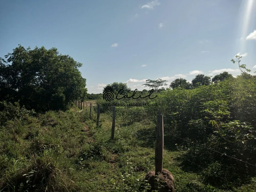 Fazenda, 312 hectares - Foto 3