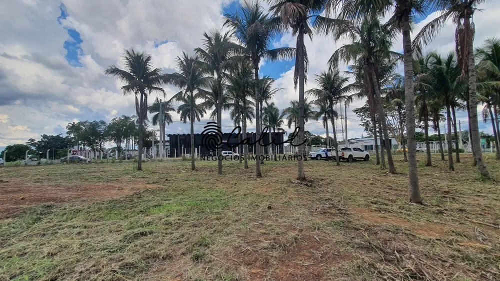 Terreno, 10000 m² - Foto 5