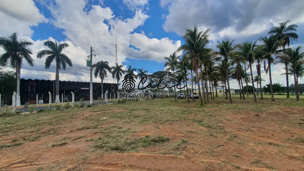 Terreno, 10000 m² - Foto 10