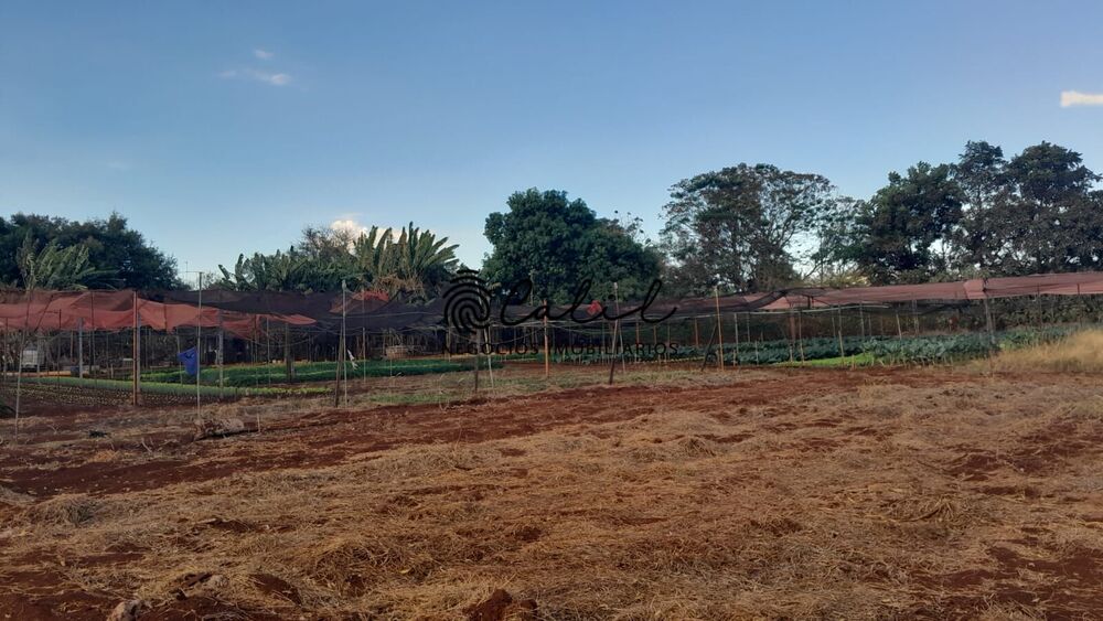 Sítio à venda com 3 quartos, 24200m² - Foto 4