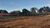Sítio, 3 quartos, 2 hectares - Foto 4