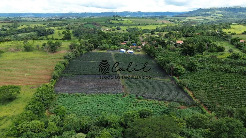 Fazenda à venda com 4 quartos, 39500m² - Foto 2