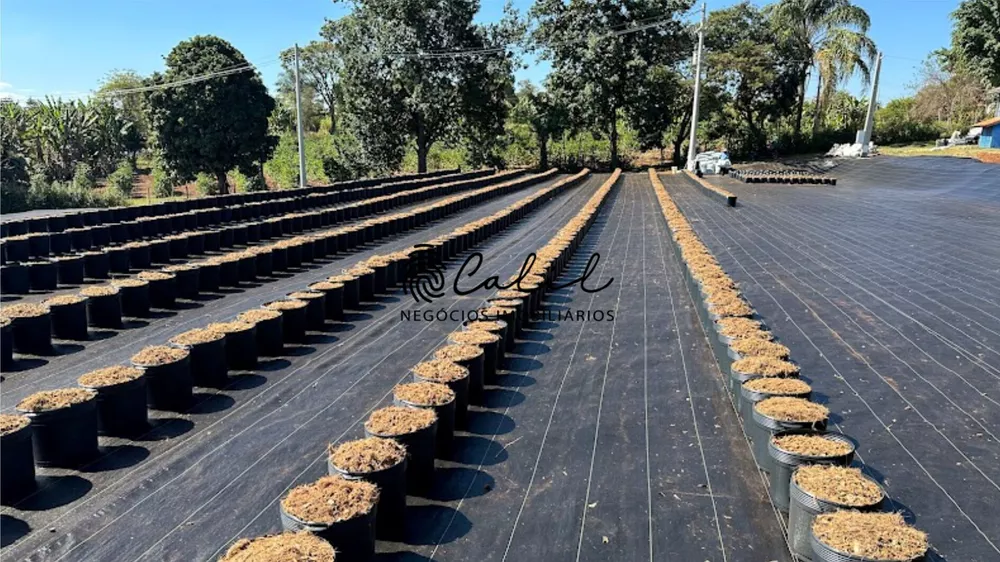 Fazenda à venda com 4 quartos, 39500m² - Foto 5