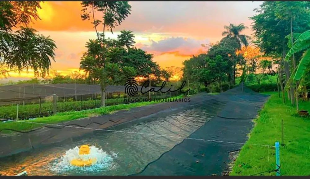 Fazenda à venda com 4 quartos, 39500m² - Foto 9