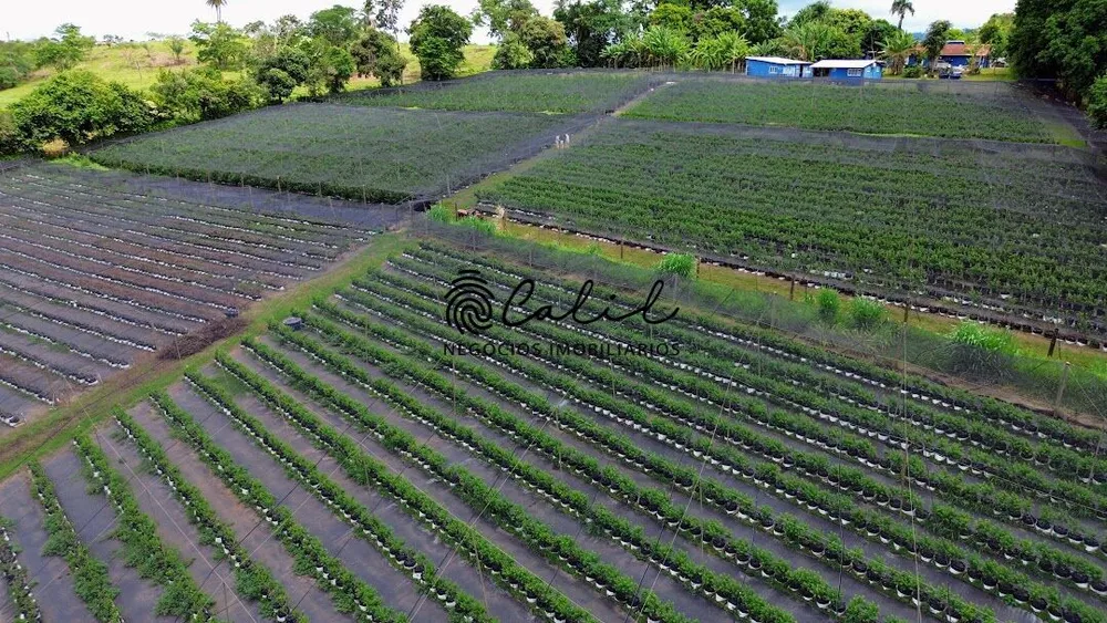 Fazenda à venda com 4 quartos, 39500m² - Foto 3