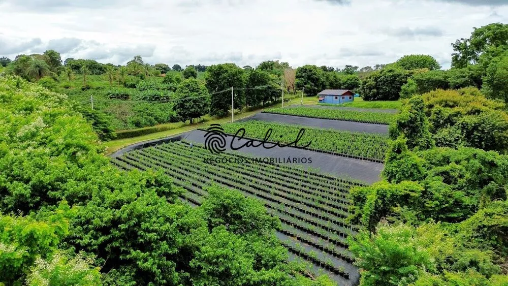 Fazenda à venda com 4 quartos, 39500m² - Foto 1