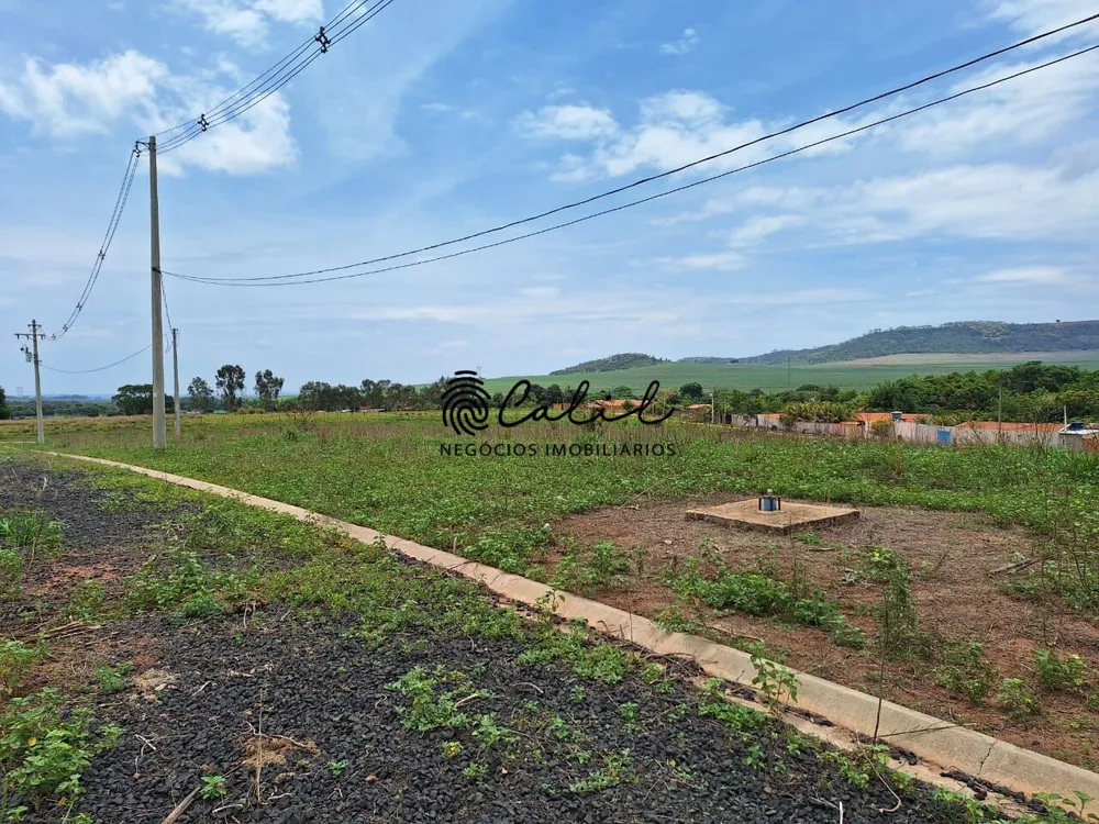 Terreno, 3 hectares - Foto 8