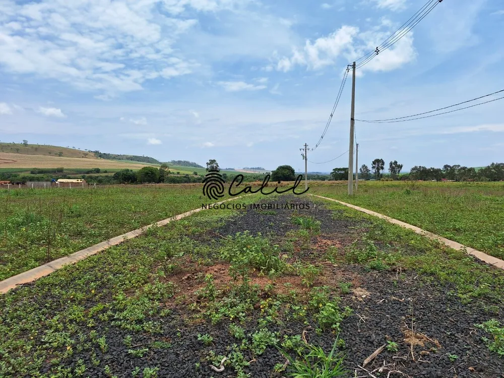 Terreno, 3 hectares - Foto 10