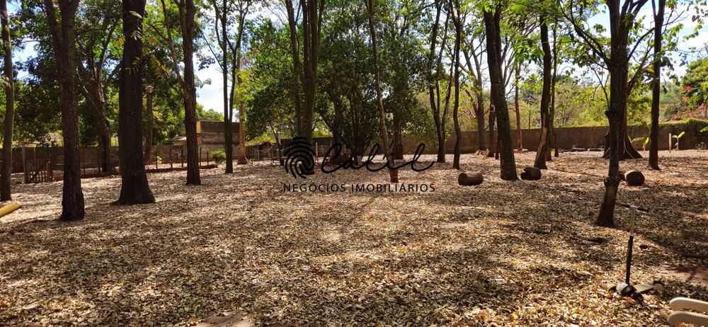 Terreno, 1 hectares - Foto 6
