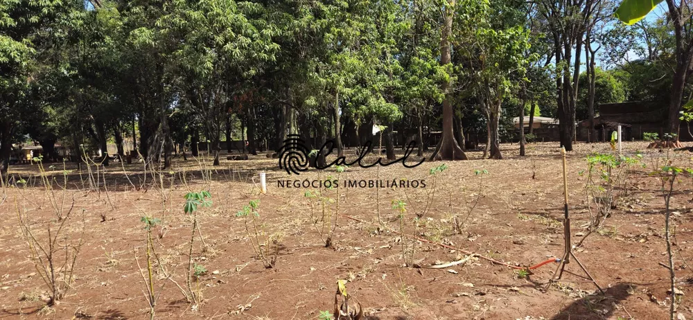 Terreno, 1 hectares - Foto 4