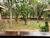 Chácara, 6 quartos, 2 hectares - Foto 21