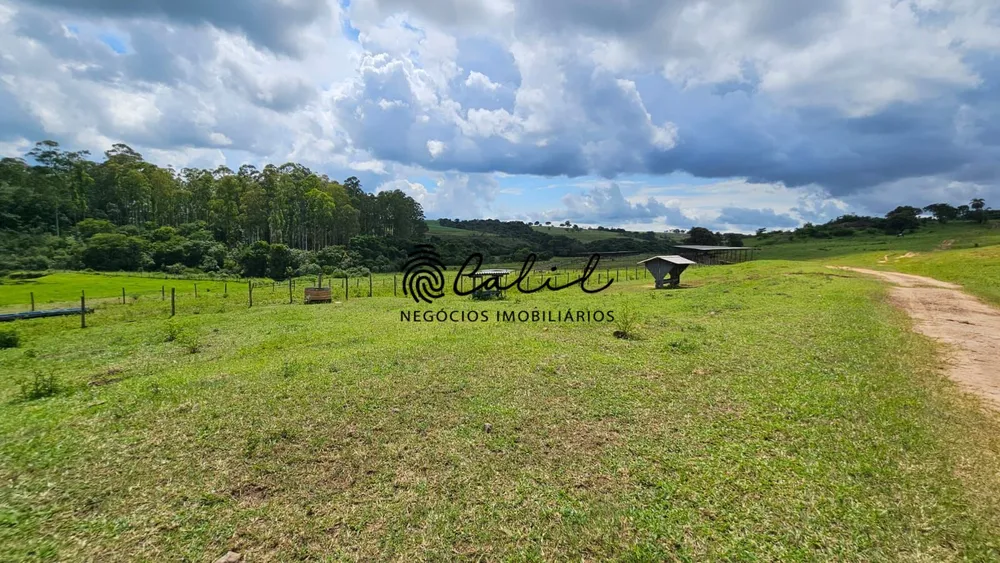 Fazenda, 285 hectares - Foto 3