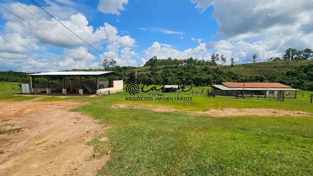 Fazenda, 285 hectares - Foto 5