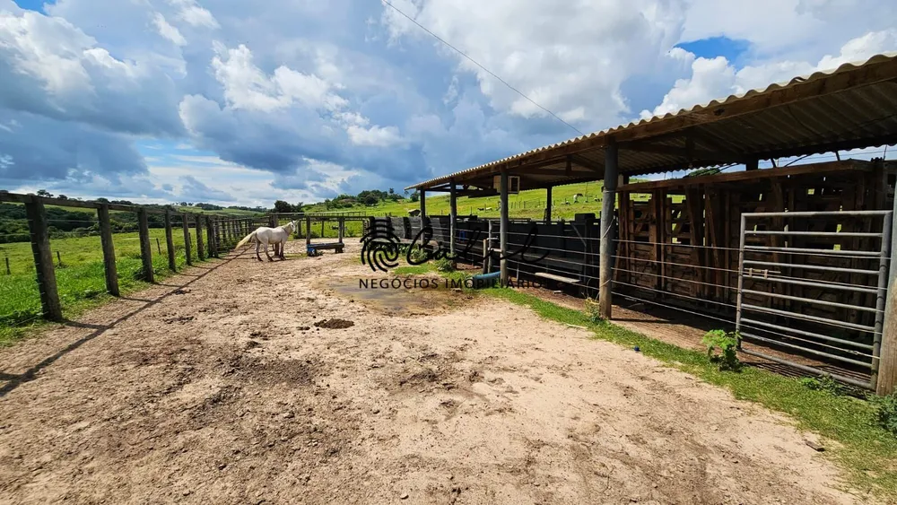 Fazenda, 285 hectares - Foto 9