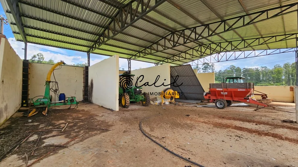 Fazenda, 285 hectares - Foto 8
