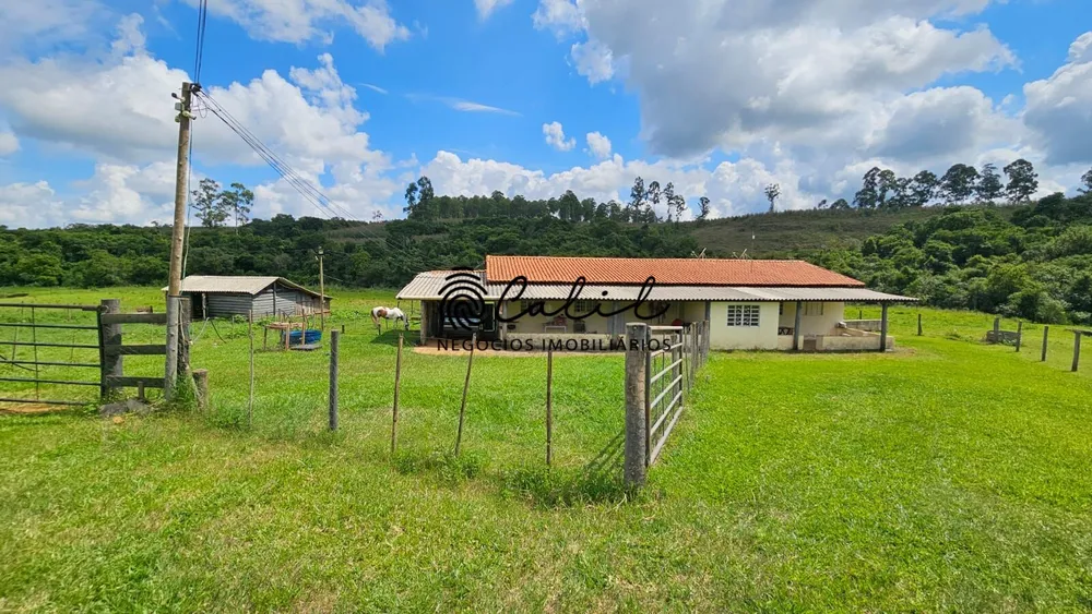 Fazenda, 285 hectares - Foto 10