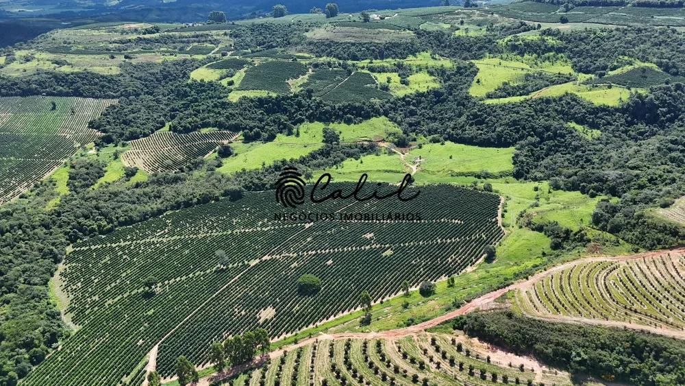 Fazenda, 126 hectares - Foto 10