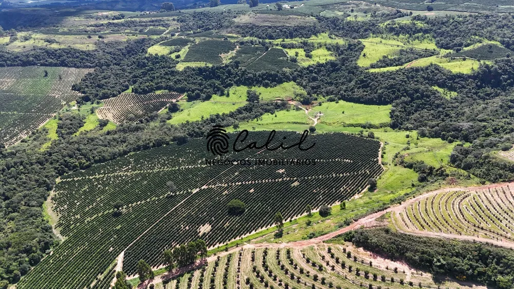 Fazenda, 126 hectares - Foto 9