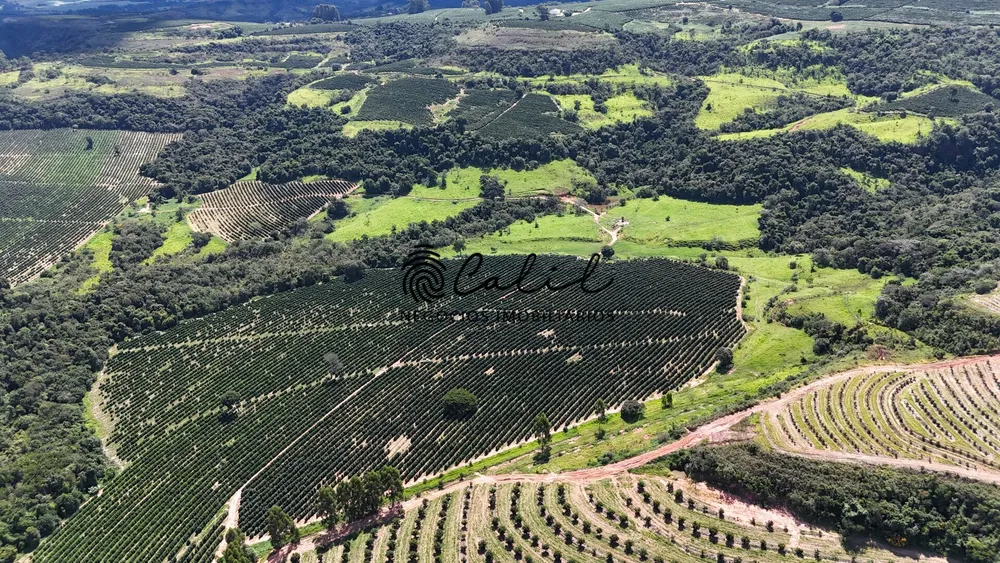 Fazenda, 126 hectares - Foto 1