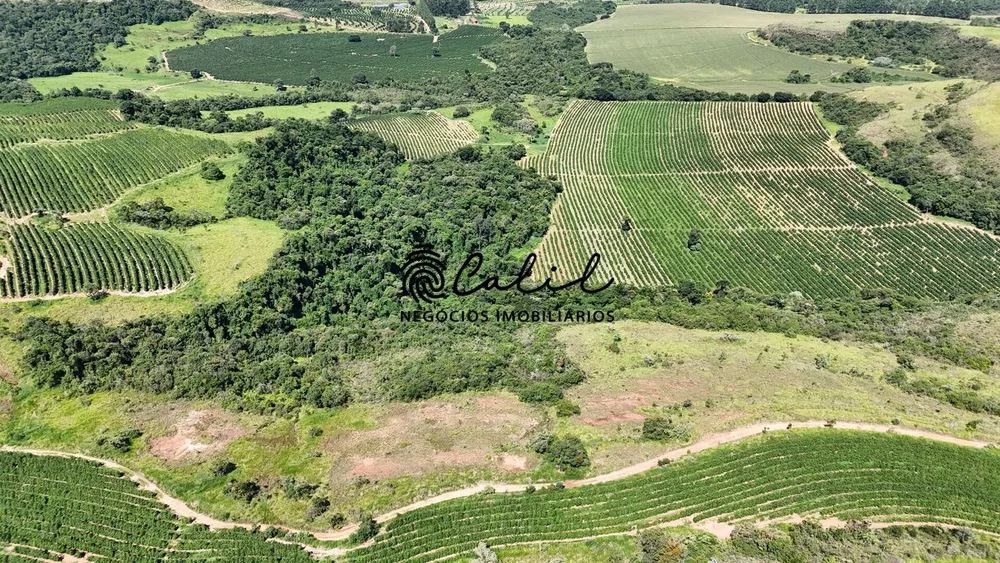 Fazenda, 126 hectares - Foto 16