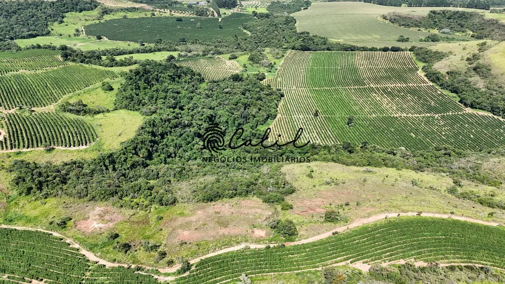 Fazenda, 126 hectares - Foto 4