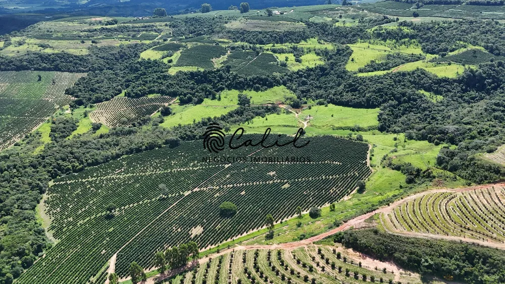 Fazenda, 126 hectares - Foto 2