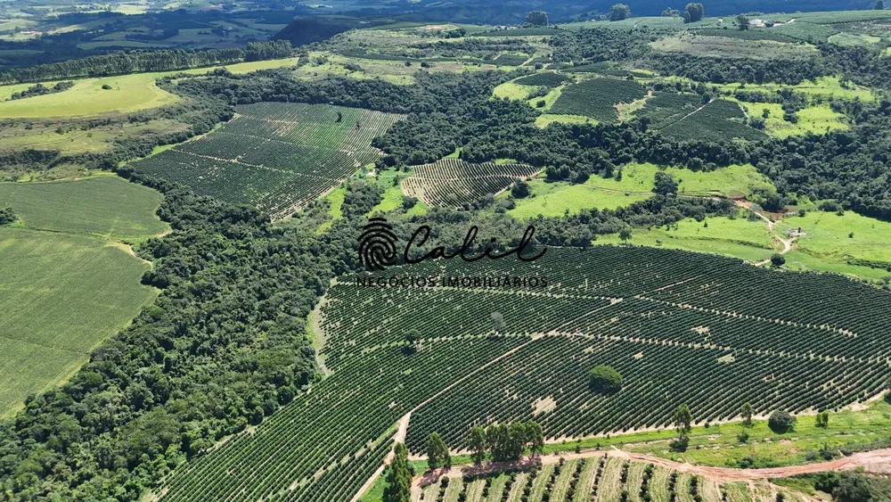 Fazenda, 126 hectares - Foto 11