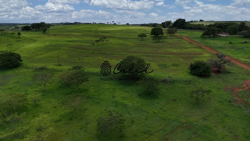 Fazenda, 76 hectares - Foto 5