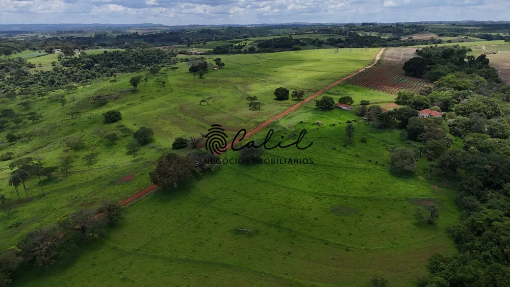 Fazenda, 76 hectares - Foto 6