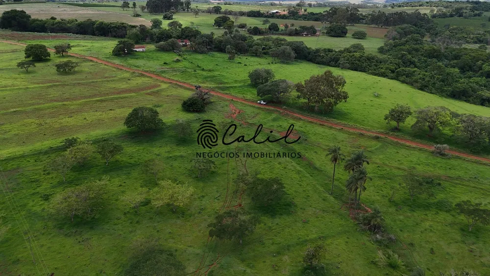Fazenda, 76 hectares - Foto 9