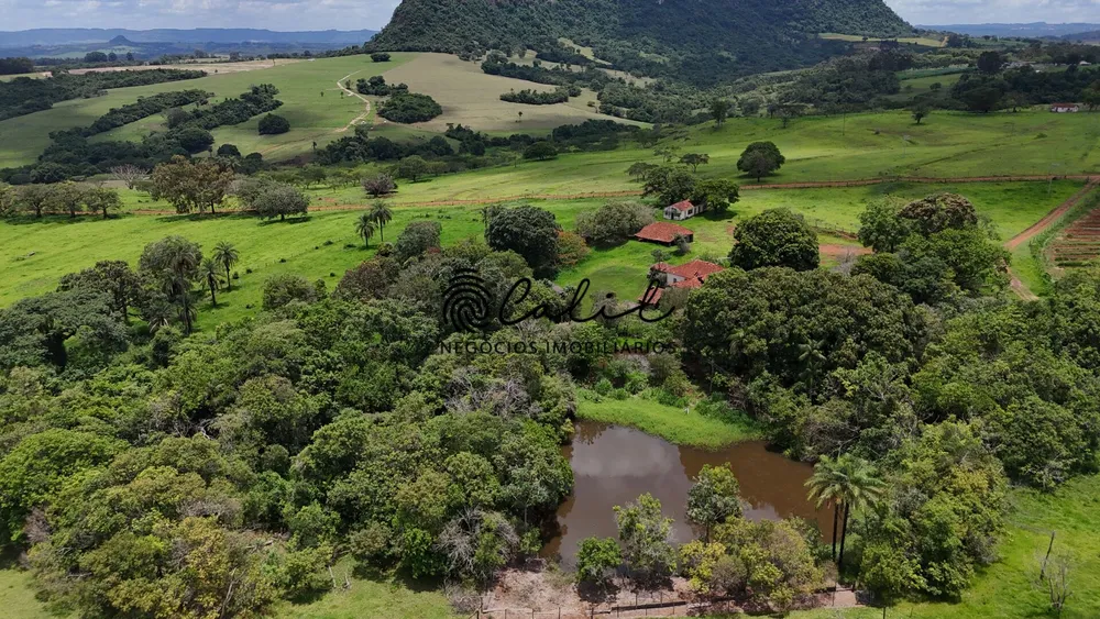 Fazenda, 76 hectares - Foto 7