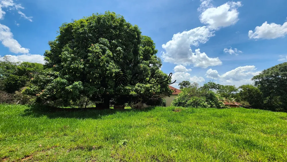 Fazenda, 76 hectares - Foto 18