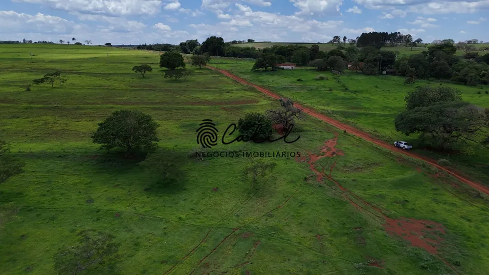 Fazenda, 76 hectares - Foto 7