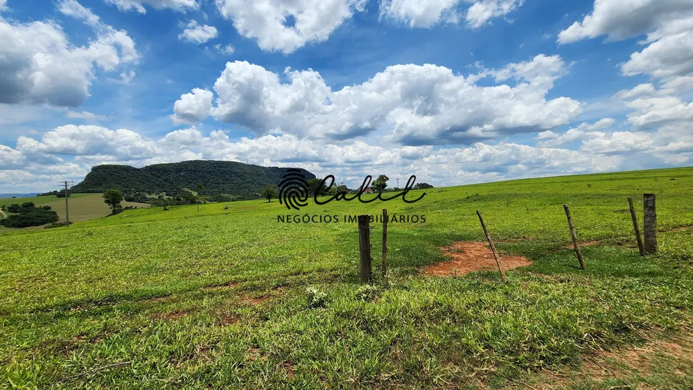 Fazenda, 76 hectares - Foto 4