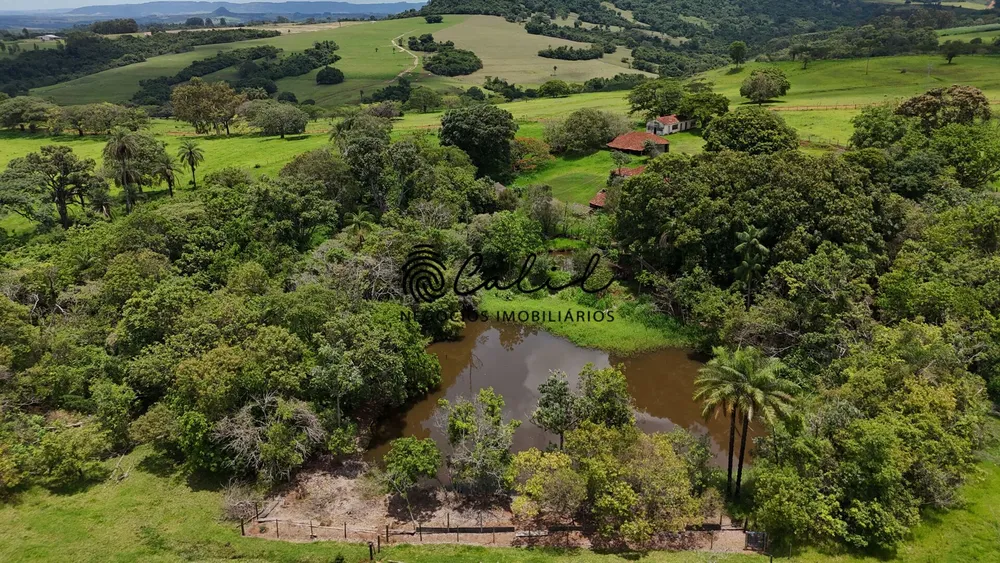 Fazenda, 76 hectares - Foto 4