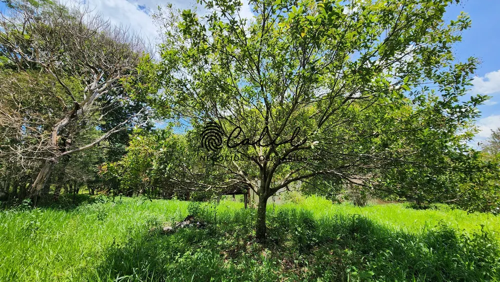 Fazenda, 76 hectares - Foto 16