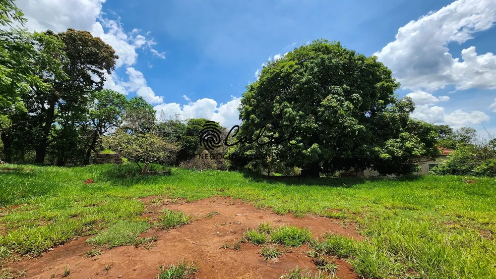 Fazenda, 76 hectares - Foto 17