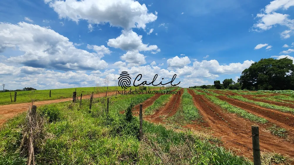 Fazenda, 76 hectares - Foto 2