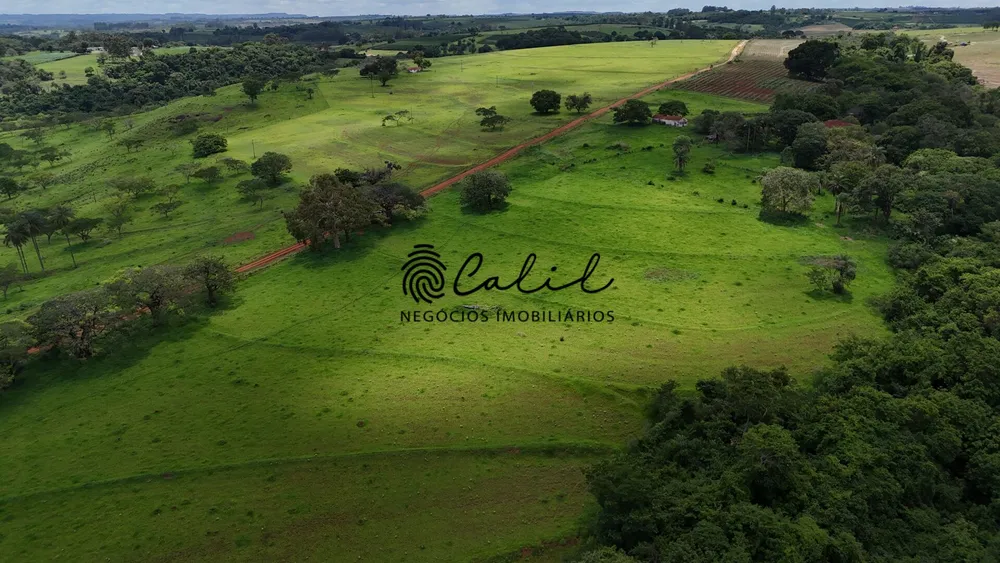 Fazenda, 76 hectares - Foto 6