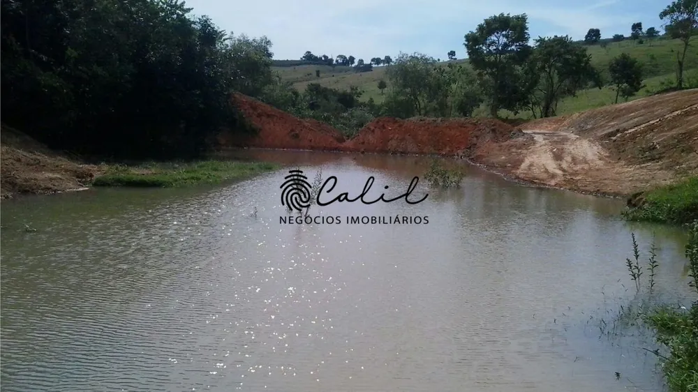 Fazenda, 222 hectares - Foto 17