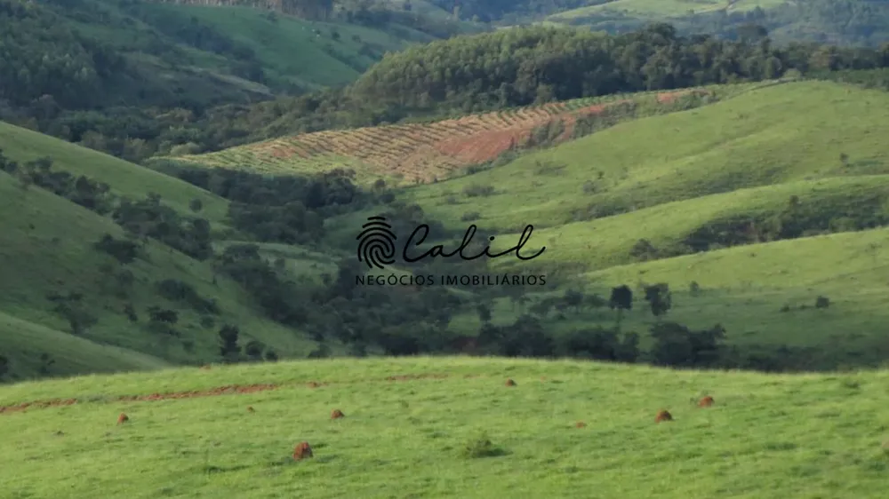 Fazenda, 222 hectares - Foto 12