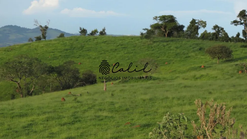 Fazenda, 222 hectares - Foto 11